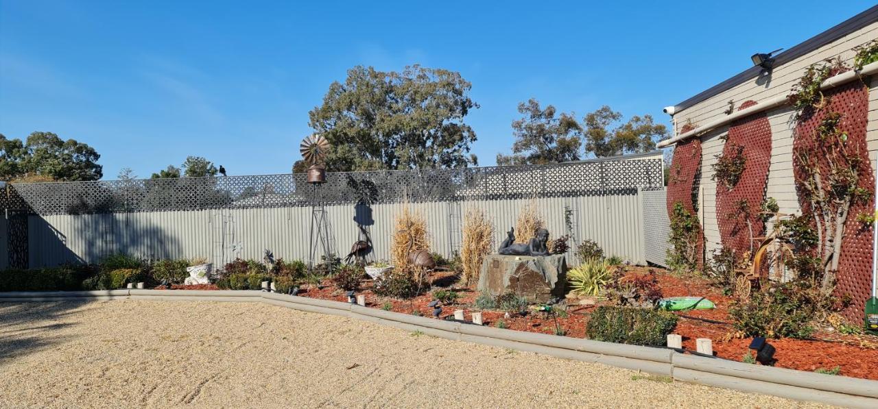 Cameo Inn Motel West Wyalong Extérieur photo